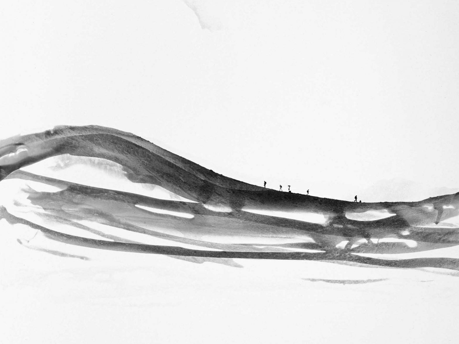Ulrike Mayrhuber: Wege