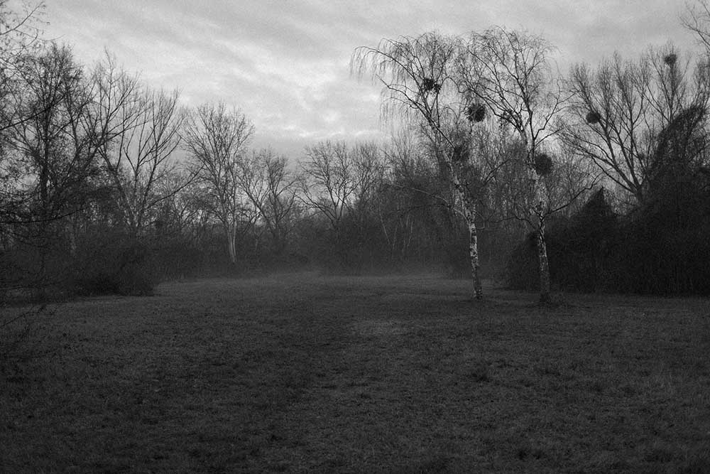 Maurizio Cirillo, Within my radius, 2020 © Maurizio Cirillo, Bildrecht Wien 2022 