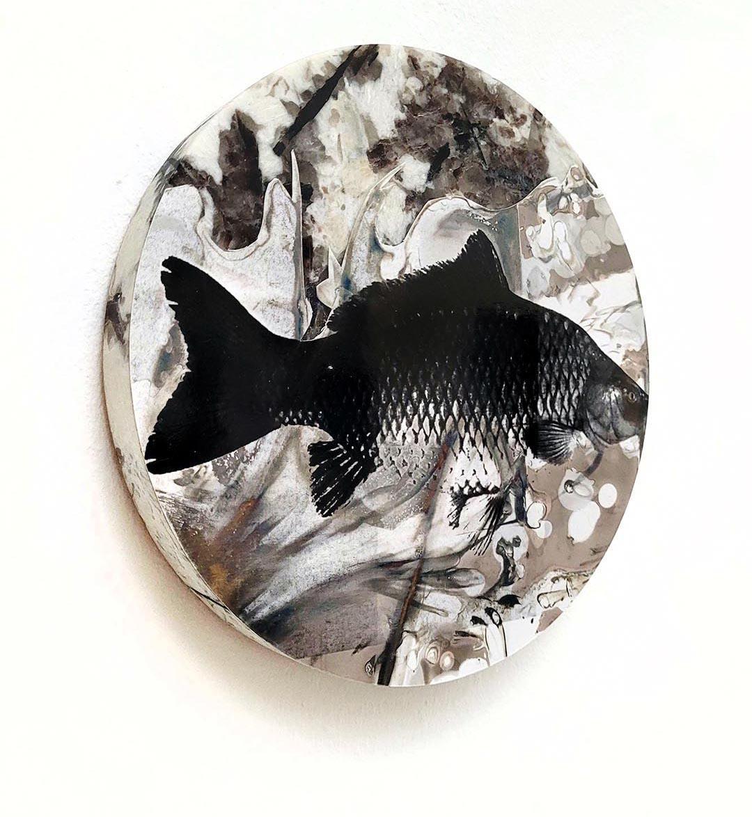 Silberfisch - Kerstin Pfleger